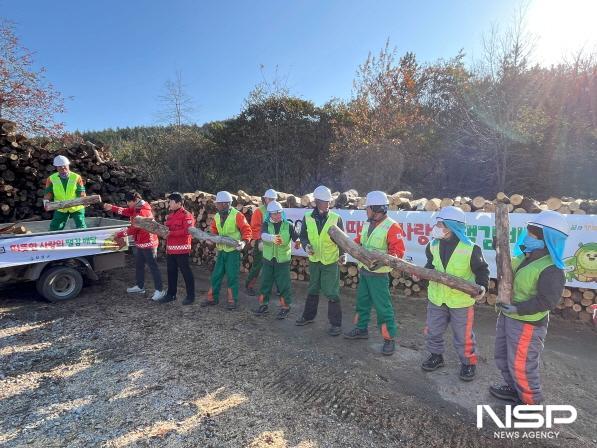 NSP통신-보성군은 독거 어르신·기초생활수급자 등 난방 취약계층 42가구에 화목용 땔감 42톤을 무상 공급할 예정이다 (사진 = 보성군)