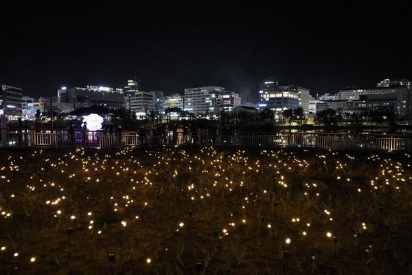 NSP통신-빛정원 페스타 행사장을 뒤덮은 수백 개의 반딧불이 조명. (사진 = 나주시)