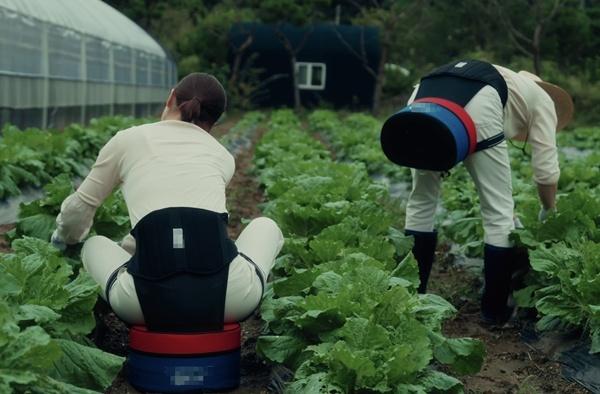 NSP통신- (사진 = 나주시)