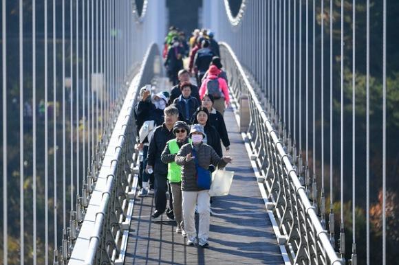 NSP통신-영주시 2025년 모바일 앱 워크온 걷기 챌린지 성료, 3월~11월 9개월 간 9회 운영해 4800여 명 참여 (사진 = 영주시)