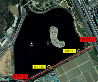 [NSP PHOTO]수원시 축만제 큰기러기 폐사체 고병원성 AI 확진