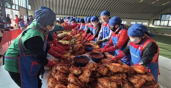 NSP통신- (사진 = 강진군)