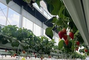 NSP통신- (사진 = 나주시)