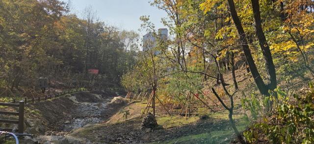 NSP통신-용인특례시가 수지구 죽전동에 조성한 도시 숲 모습. (사진 = 용인특례시)