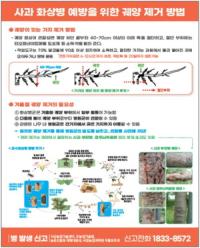 [NSP PHOTO]광양시, 철저한 과원 관리로 과수화상병 사전 예방 당부