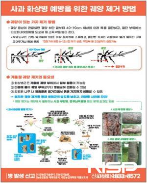 NSP통신-사과 궤양 제거 방법 홍보 포스터 (사진 = 광양시청)
