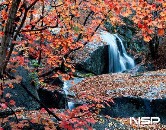 NSP통신-동곡계곡의 병암폭포 (= 광양시청)