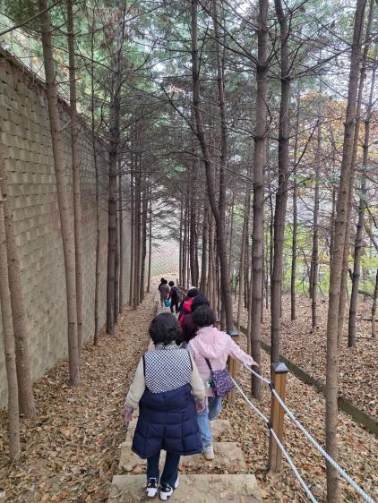 NSP통신-용인특례시 보건소 건강걷기 프로그램에 참여 중인 시민들. (사진 = 용인특례시)