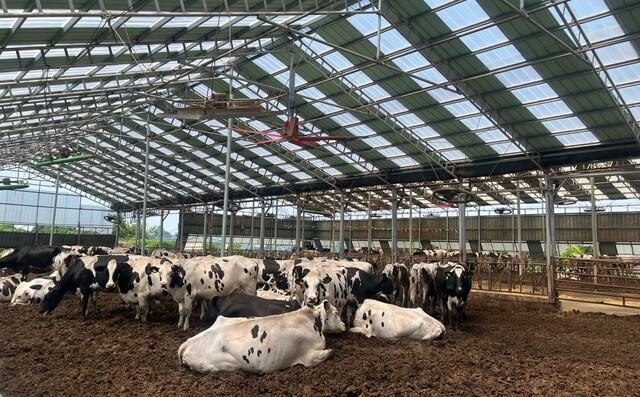 NSP통신-2025년 낙농육우산업 경쟁력 강화사업으로 대형환풍기 설비를 지원받은 축산농가 모습. (사진 = 화성시)