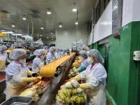 [NSP PHOTO]안동시, 김장용 식재료 제조 및 판매업소 위생 점검