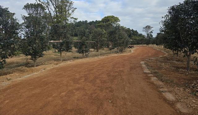 NSP통신-신안군 신의면 황토 맨발길 (사진 = 신안군)