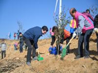 [NSP PHOTO]영덕군, 별파랑 희망 심기 행사 개최