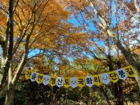 [NSP PHOTO]완도군 청산도 단풍으로 물든 슬로시티 청산도 관광객으로 북적