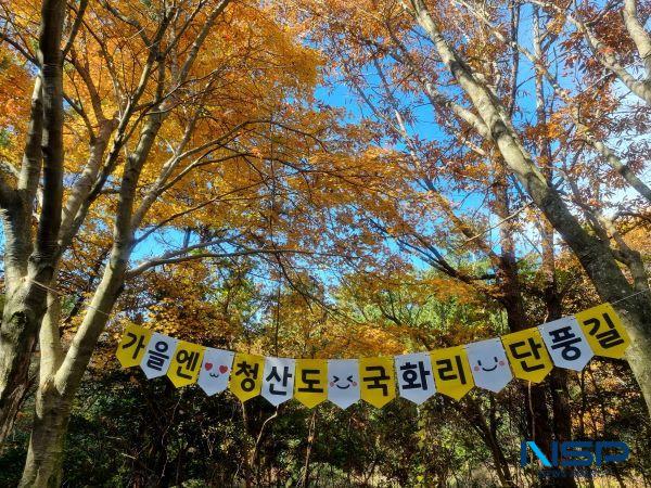 NSP통신- (사진 = 완도군)