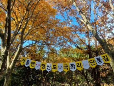 [NSP NEWS Image]완도군 청산도 ‘단풍으로 물든 슬로시티 청산도’ 관광객으로 북적