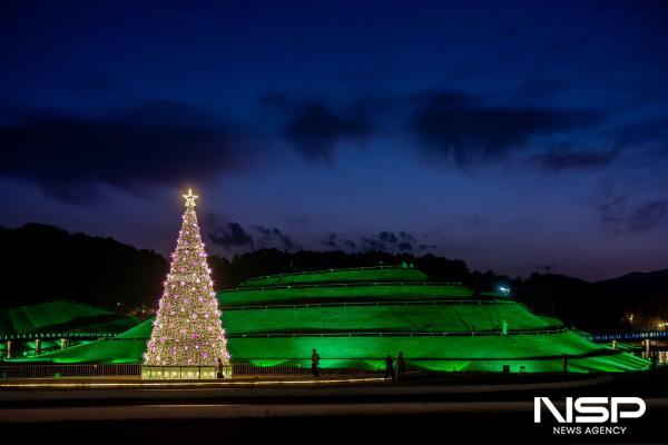 NSP통신-밤을 밝히는 순천만국가정원 호수정원 대형트리 (사진 = 순천시)