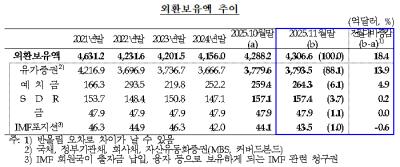 [NSP PHOTO]11월 외환보유액 4306억 6000만달러…세계 9위