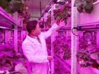 [NSP PHOTO]광명시, 어린이·취약계층 대상 딸기 체험 프로그램 운영