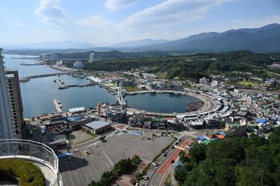 [NSP PHOTO][가봤더니]바가지 논란 그곳 대포항…대포항 살리는 정직한 손맛 있었다