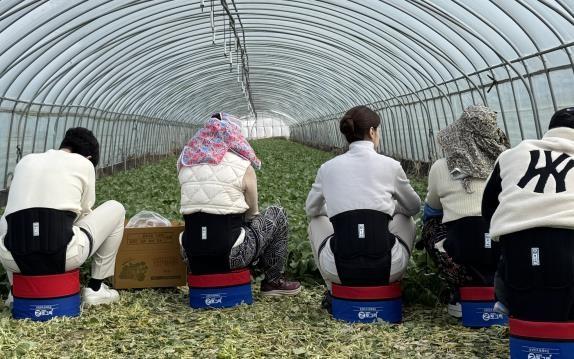 NSP통신- (사진 = 강진군)