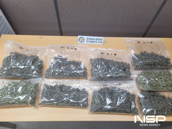 NSP통신-압수한 대마 (= 전남경찰청)