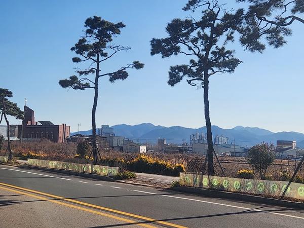 NSP통신- (사진 = 강진군)