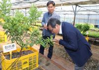 [NSP PHOTO]강릉시, 미래농업 체질 전환 속도 낸다