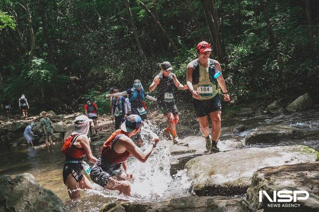 NSP통신- (사진 = 장수군)