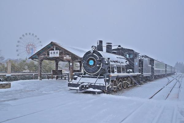 NSP통신-곡성군 기차마을 내 증기기관차. (사진 = 곡성군)