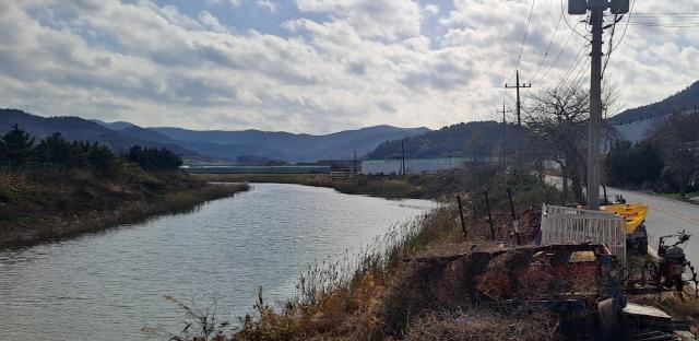 NSP통신-바다물 수준의 염도 발생수가 콸콸 쏟아지고 있는 월호천과 현장 인근 (사진 = 윤시현 기자)