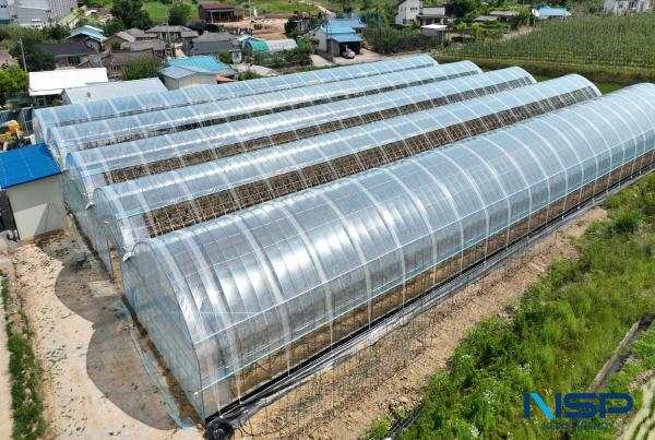 NSP통신-청송군은 농림축산식품부가 시행하는 2026년 스마트과수원 특화단지 조성 공모사업에 선정됐다. (사진 = 청송군)