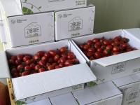 [NSP PHOTO]고흥군, 스마트팜 농산물 공동브랜드 고흥이든 선보여