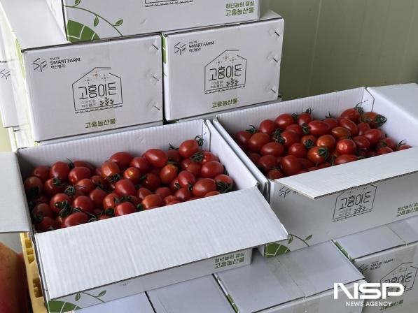 NSP통신-고흥군이 스마트팜 혁신밸리 8기 실습 과정에서 생산된 농산물에 공동브랜드 고흥이든을 적용한 모습 (사진 = 고흥군)