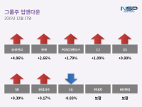 [NSP PHOTO][업앤다운]그룹주 하락…LG↓·POSCO홀딩스↑