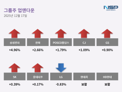 [NSP PHOTO][업앤다운]그룹주 하락…LG↓·POSCO홀딩스↑