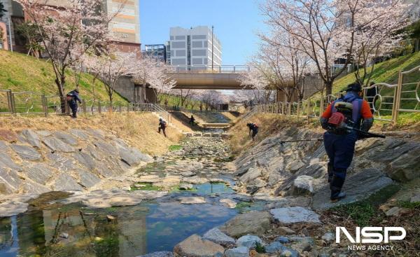 NSP통신-여수시가 노인역량활용 선도모델 사업에 참여해 국비지원을 받게 됐다. (사진 = 여수시)