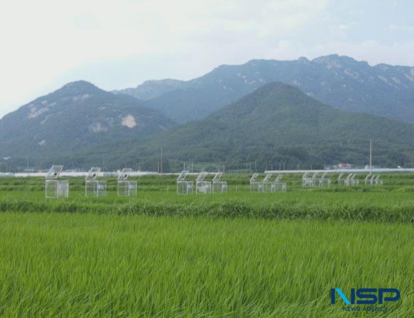 NSP통신- (사진 = 해남군)