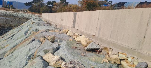 NSP통신-메고평 연안정비사업 파라펫 월류 방지 기능 제외 시공 (사진 = 윤시현 기자)