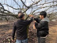 [NSP PHOTO]나주시, 과수화상병 겨울철 선제 차단 총력