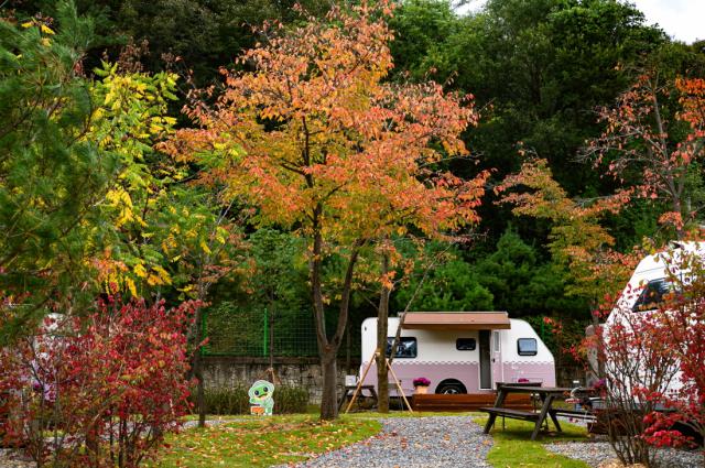 NSP통신-청량산 수원캠핑장 시설. (사진 = 수원시)