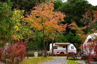 [NSP PHOTO]수원시 우려했던 청량산 수원캠핑장 지역경제 살리는 불씨됐다