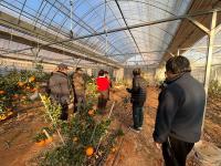 [NSP PHOTO]곡성군, 만감류 재배 전 과정 맞춤형 컨설팅 강화