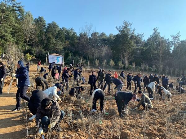 NSP통신-장흥군 나무심기 행사. (사진 = 장흥군)