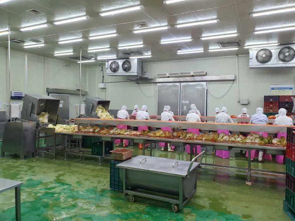 NSP통신-안동시 식품(첨가물)제조가공업 31개소 위생관리등급평가 완료, 위생등급평가로 안전한 먹거리 기반 강화 (사진 = 안동시)