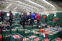 [NSP PHOTO]안동시농수산물도매시장, 병오년 신정 정기휴장 실시