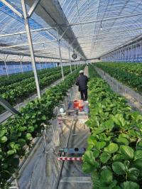 [NSP PHOTO]예천군, 스마트팜 작업자 추종 운반 로봇 시범운영