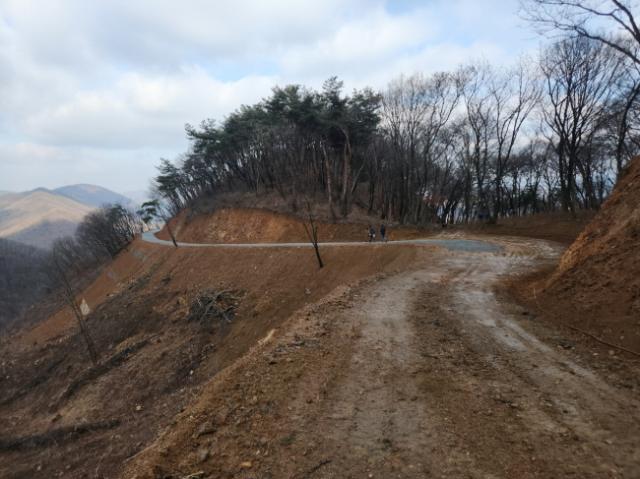 NSP통신-용인특례시가 처인구 원삼면 학일리 일원에 조성한 간선임도. (사진 = 용인특례시)