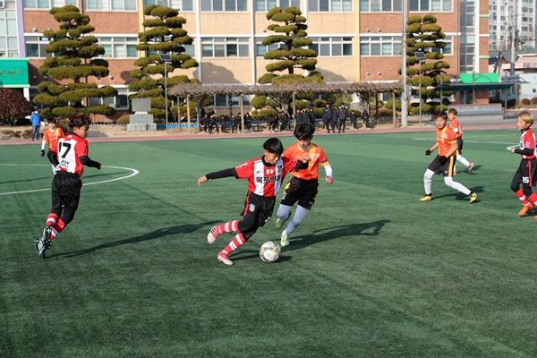 NSP통신- (사진 = 장흥군)