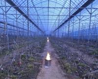 [NSP PHOTO]파주시, 원예 특작 분야 기술 보급사업 대상자 모집