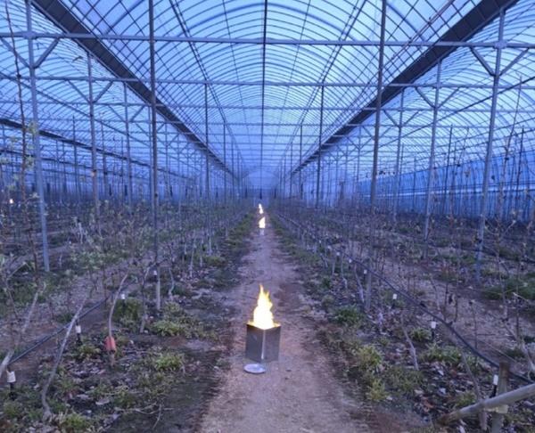 [NSP PHOTO]파주시, 원예 특작 분야 기술 보급사업 대상자 모집